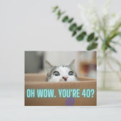 猫おもしろいの40歳の誕生日 ポストカード (スタンド正面)