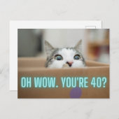 猫おもしろいの40歳の誕生日 ポストカード (正面/裏面)