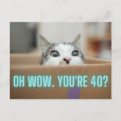 猫おもしろいの40歳の誕生日 ポストカード (正面)