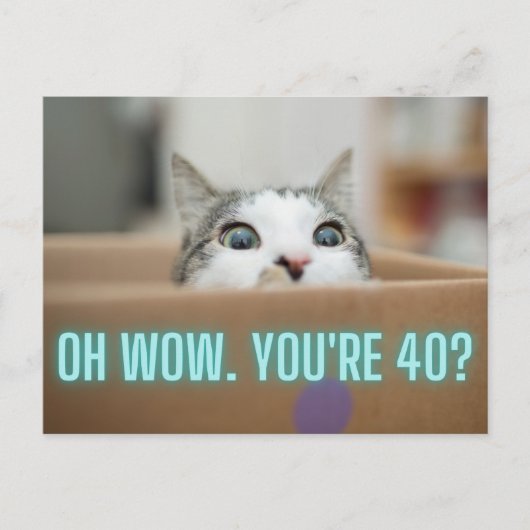 猫おもしろいの40歳の誕生日 ポストカード (正面)