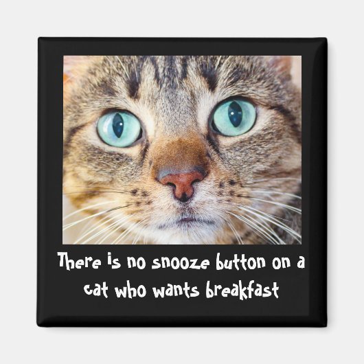 猫おもしろいはマグネットが欲しい マグネット (正面)