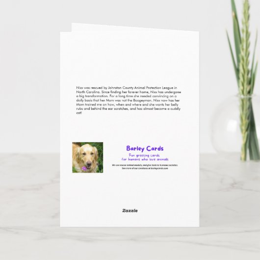 猫おもしろいは寝るのが遅いと誕生日 カード (裏面)