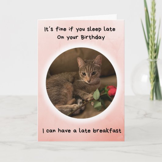 猫おもしろいは寝るのが遅いと誕生日 カード (正面)