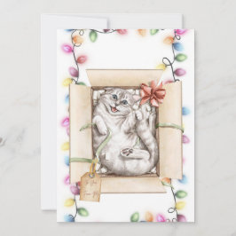 猫おもしろいクリスマスカード2 シーズンカード