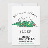 猫おもしろいクリスマスカード シーズンカード (正面)