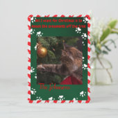 猫おもしろいクリスマスカード – 木のオーナメント シーズンカード (スタンド正面)