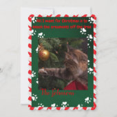 猫おもしろいクリスマスカード – 木のオーナメント シーズンカード (正面)