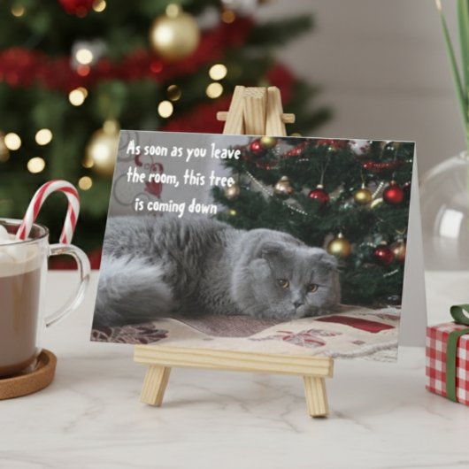 猫おもしろいクリスマスツリーのあいさ怒せり シーズンカード