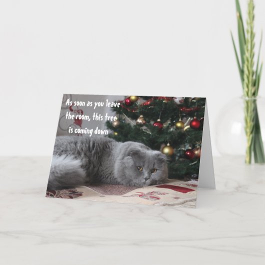 猫おもしろいクリスマスツリーのあいさ怒せり シーズンカード (正面)