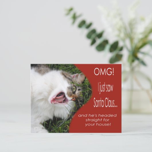 猫おもしろいクリスマスハガキ シーズンポストカード (スタンド正面)