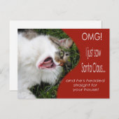 猫おもしろいクリスマスハガキ シーズンポストカード (正面/裏面)