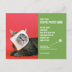猫おもしろいクリスマスバカ写真葉書 ポストカード