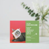 猫おもしろいクリスマスバカ写真葉書 ポストカード (スタンド正面)