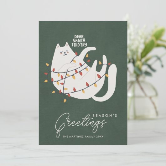 猫おもしろいクリスマスライトシーズンのご挨拶 シーズンカード (スタンド正面)