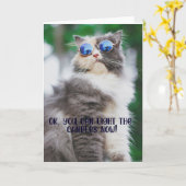 猫おもしろいクール誕生日グリーティングカード カード (黄色い花)