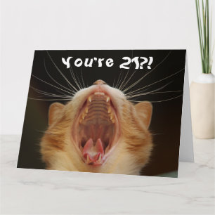 猫おもしろいハッピーデー21歳 カード