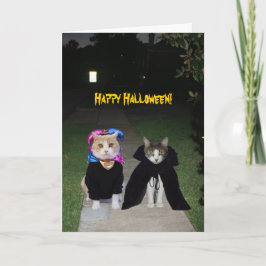 猫おもしろいハロウィーン カード