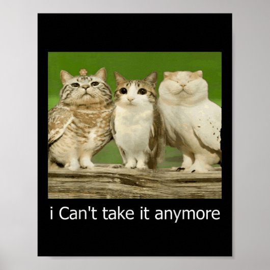 猫おもしろいフクロウもう取れない ポスター (正面)