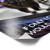 猫おもしろいポスター フォトプリント            (角)