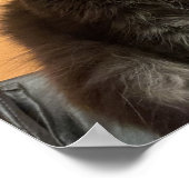 猫おもしろいポスター ポスター (角)