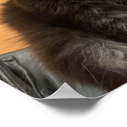 猫おもしろいポスター ポスター (角)