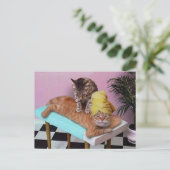 猫おもしろいマッサージ ポストカード (スタンド正面)