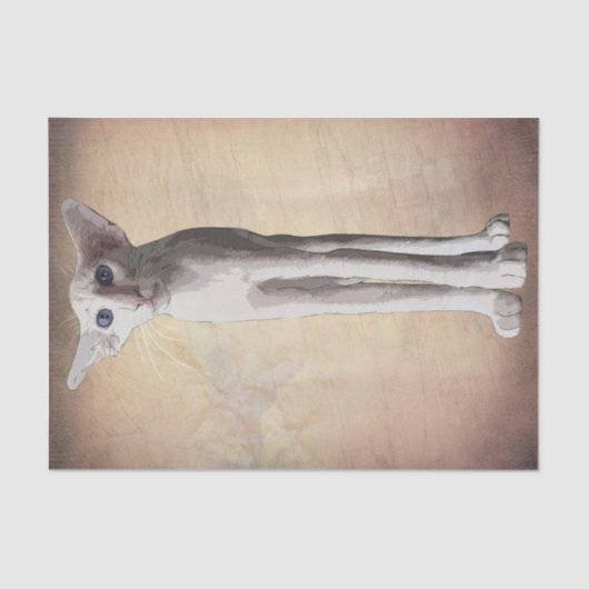 猫おもしろいマンガの水彩 薄葉紙 (正面)