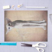 猫おもしろいマンガの水彩 薄葉紙 (クラフト)