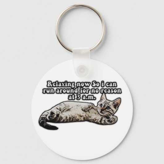 猫おもしろいミーム子猫 キーホルダー (正面)