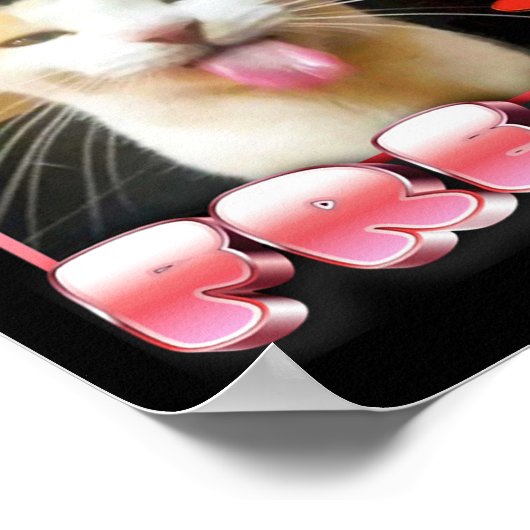 猫おもしろいミーム – 認定フリーク猫おもしろいミーム ポスター (角)