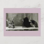 猫おもしろいヴィンテージ写真猫おもしろいカード ポストカード (正面)