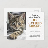 猫おもしろい写真ペットロパーソナライズされたーイング 案内ポストカード (正面/裏面)