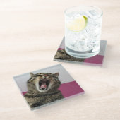 猫おもしろい写真ペット愛人 ガラスコースター (アングル)