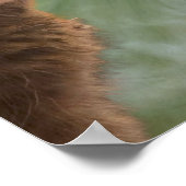 猫おもしろい写真ポスター ポスター (角)