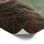 猫おもしろい写真ポスター ポスター (角)