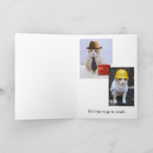 猫おもしろい卒業 カード (内部)