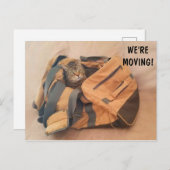 猫おもしろい及びスーツケース移動葉書 ポストカード (正面/裏面)