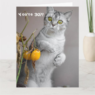 猫おもしろい幸せ30歳 カード