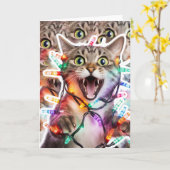 猫おもしろい折りクリスマスカード カード (黄色い花)