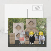 猫おもしろい招待状の移救済動 ポストカード (正面/裏面)