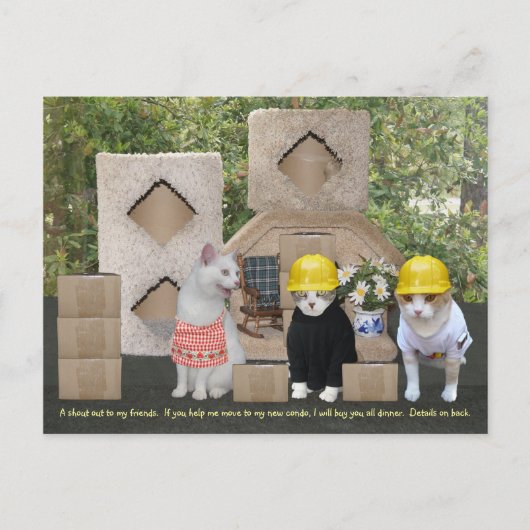 猫おもしろい招待状の移救済動 ポストカード (正面)