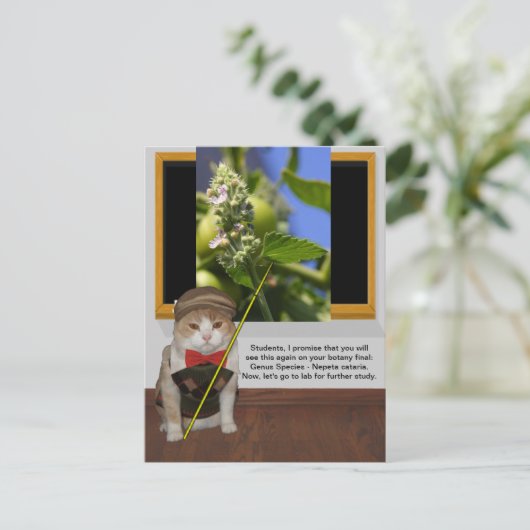 猫おもしろい教授 ポストカード (スタンド正面)