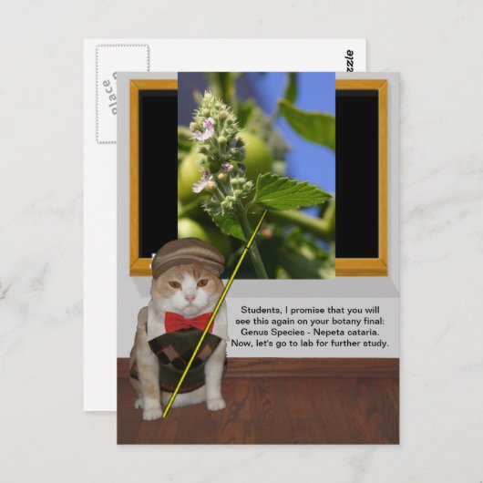 猫おもしろい教授 ポストカード (正面/裏面)