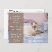 猫おもしろい熱狂するユーモア ポストカード (正面/裏面)