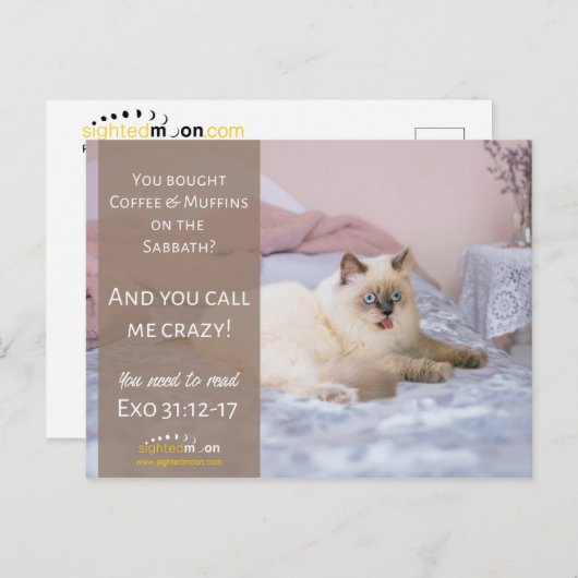 猫おもしろい熱狂するユーモア ポストカード (正面/裏面)