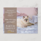 猫おもしろい熱狂するユーモア ポストカード (正面)