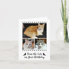 猫おもしろい犬ペットから3フォトスクリプト誕生日 カード