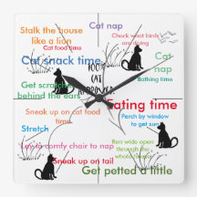 猫おもしろい猫の活動