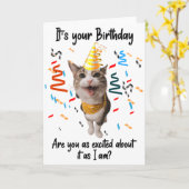 猫おもしろい笑顔誕生日グリーティングカード カード (黄色い花)