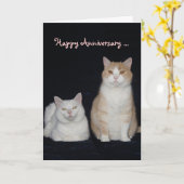 猫おもしろい記念日 カード (黄色い花)